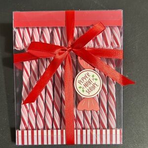 Peppermint Square plastic candy cane set of 12 decor